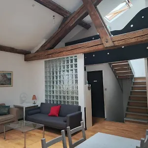 Habitación en casa particular Loft Viarhona, Grand Loft En Centre-ville, Lyon